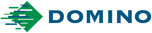 logo domino
