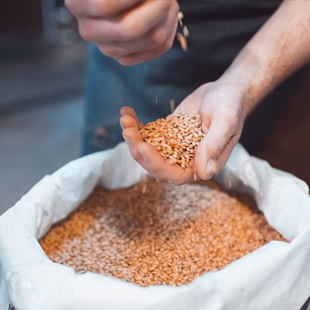 ispezione cereali