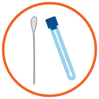 10 - tamponi operatività sistemi ispezione controllo qualità alimentare