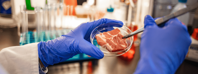 digital transformation settore alimentare