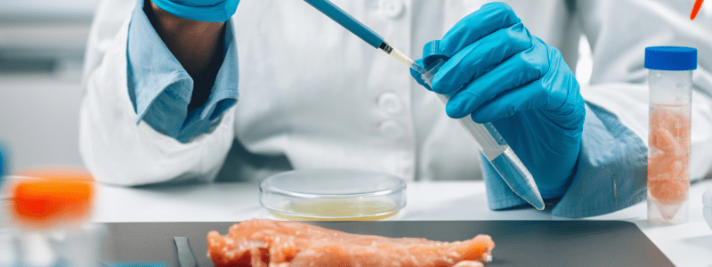 evitare la contaminazione biologica degli alimenti