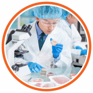 2 - sicurezza sanitaria degli alimenti