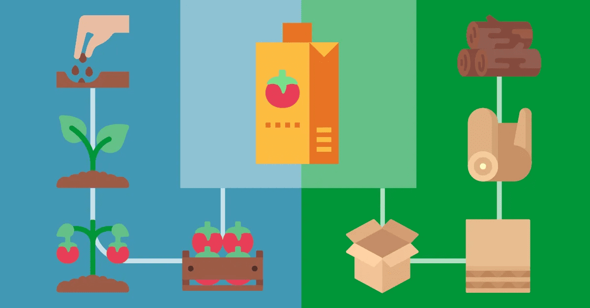 esempio ciclo completo supply chain primo e ultimo miglio