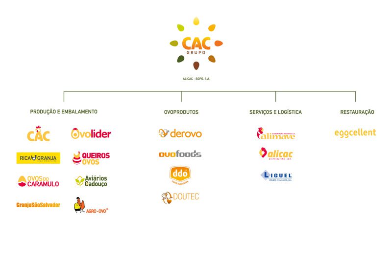 la struttura di grupo cac