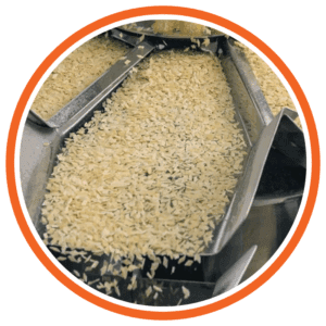 granuli di pasta secca su canali vibranti in linea di confezionamento con rilevatore di metalli per alimenti nimax