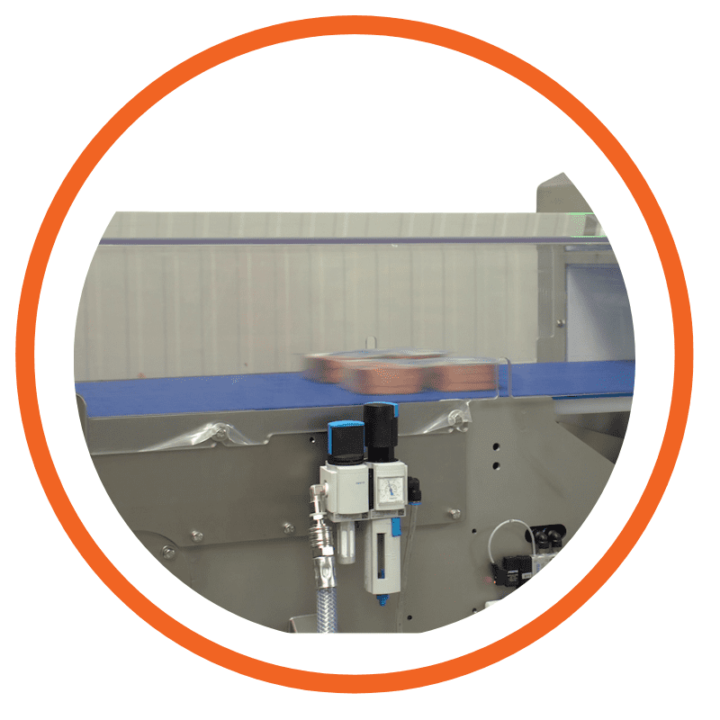 ispezione prodotti confezionati con metal detectro pulsotronic